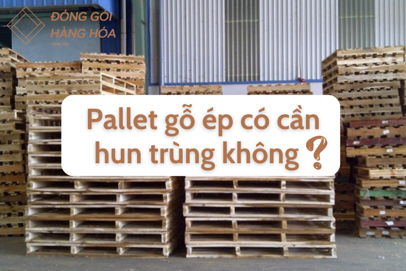 Pallet gỗ ép có cần hun trùng không